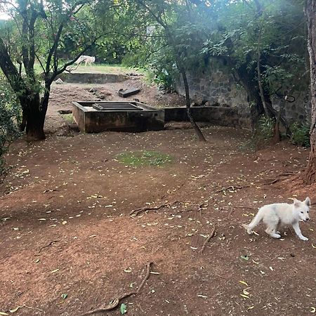 Appartamento Loft Artesanal En Granja Pátzcuaro Esterno foto