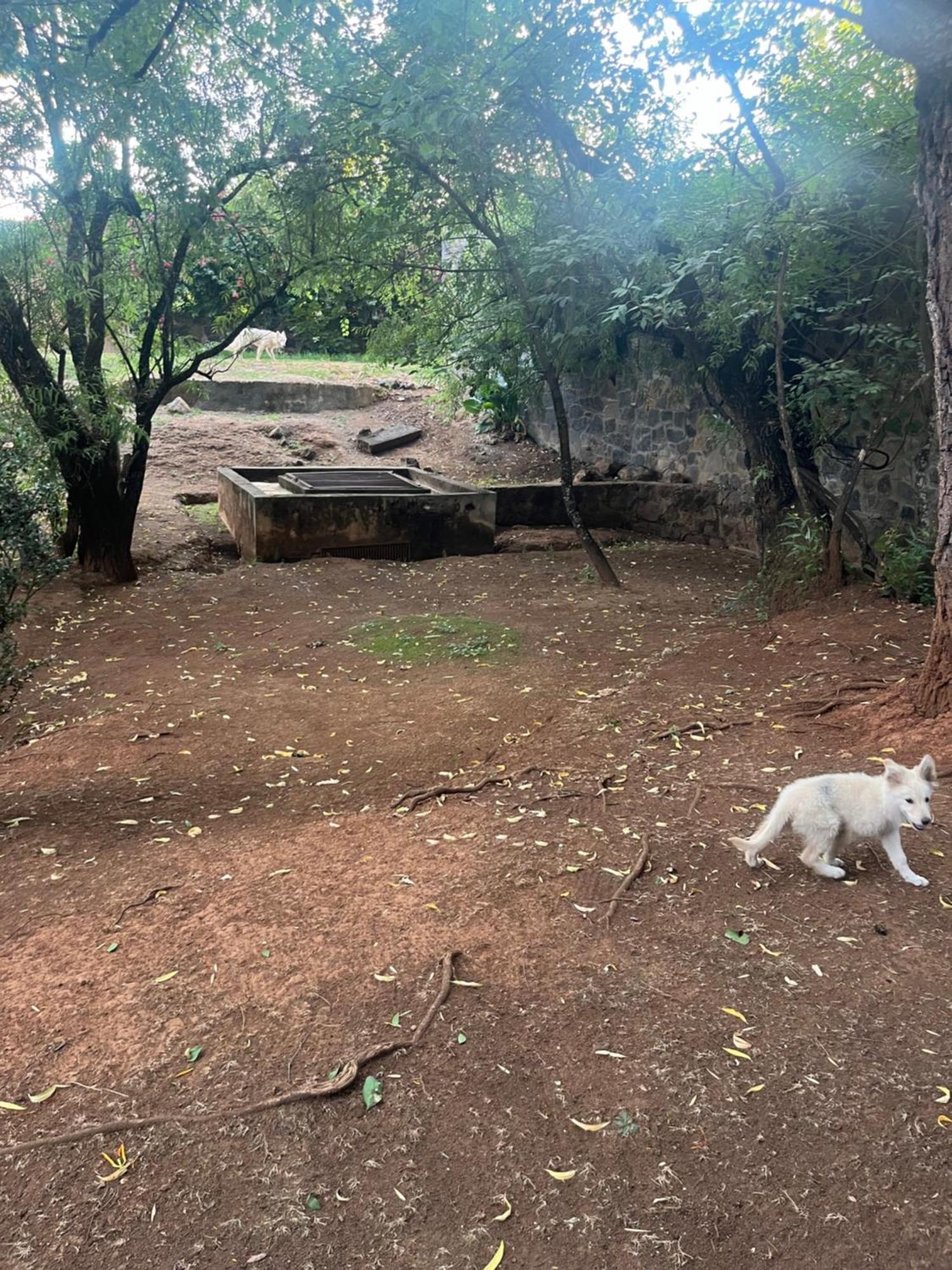 Appartamento Loft Artesanal En Granja Pátzcuaro Esterno foto